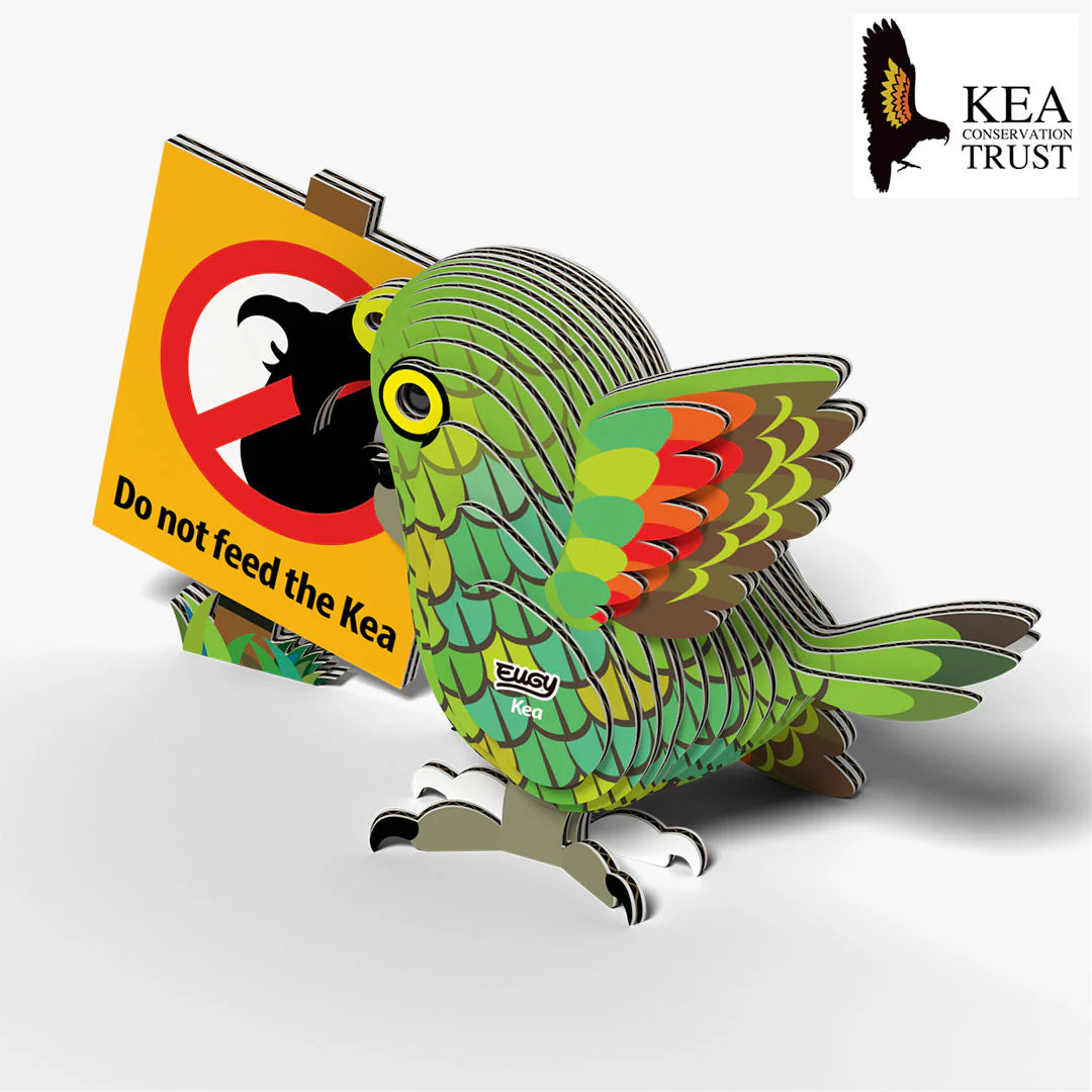 EUGY 3D-model - Kea