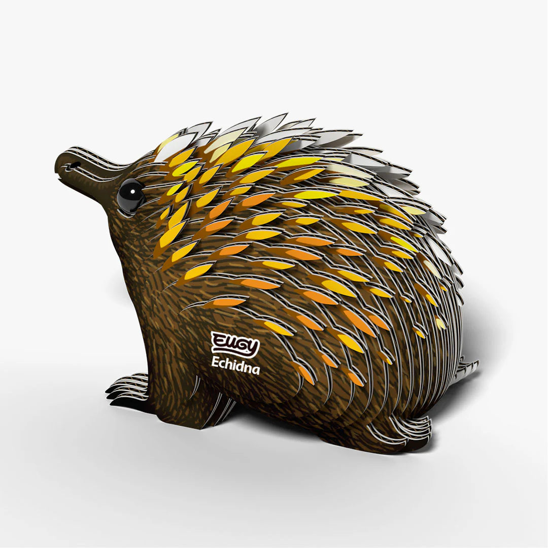 EUGY 3D model - Echidna