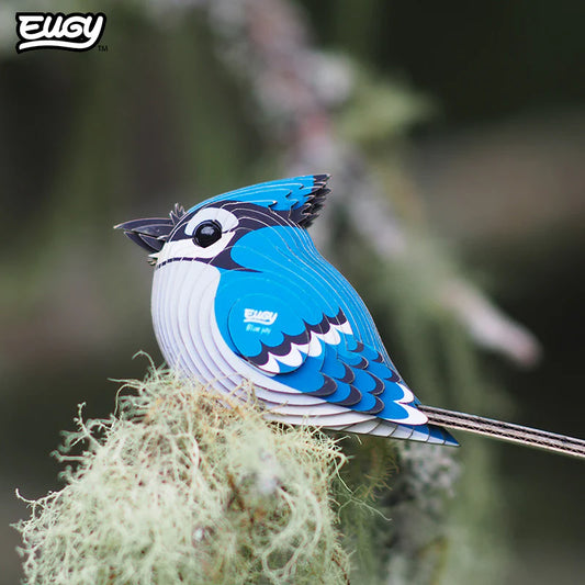 EUGY 3D-model - Blauwe Gaai