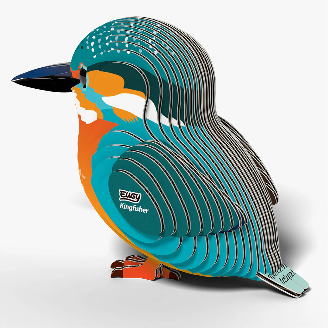 EUGY 3D model - Kingfisher