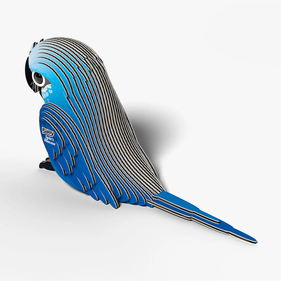 EUGY 3D model - Spix's Macaw