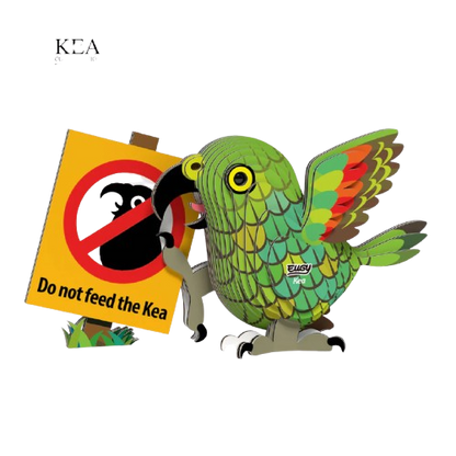 EUGY 3D-model - Kea