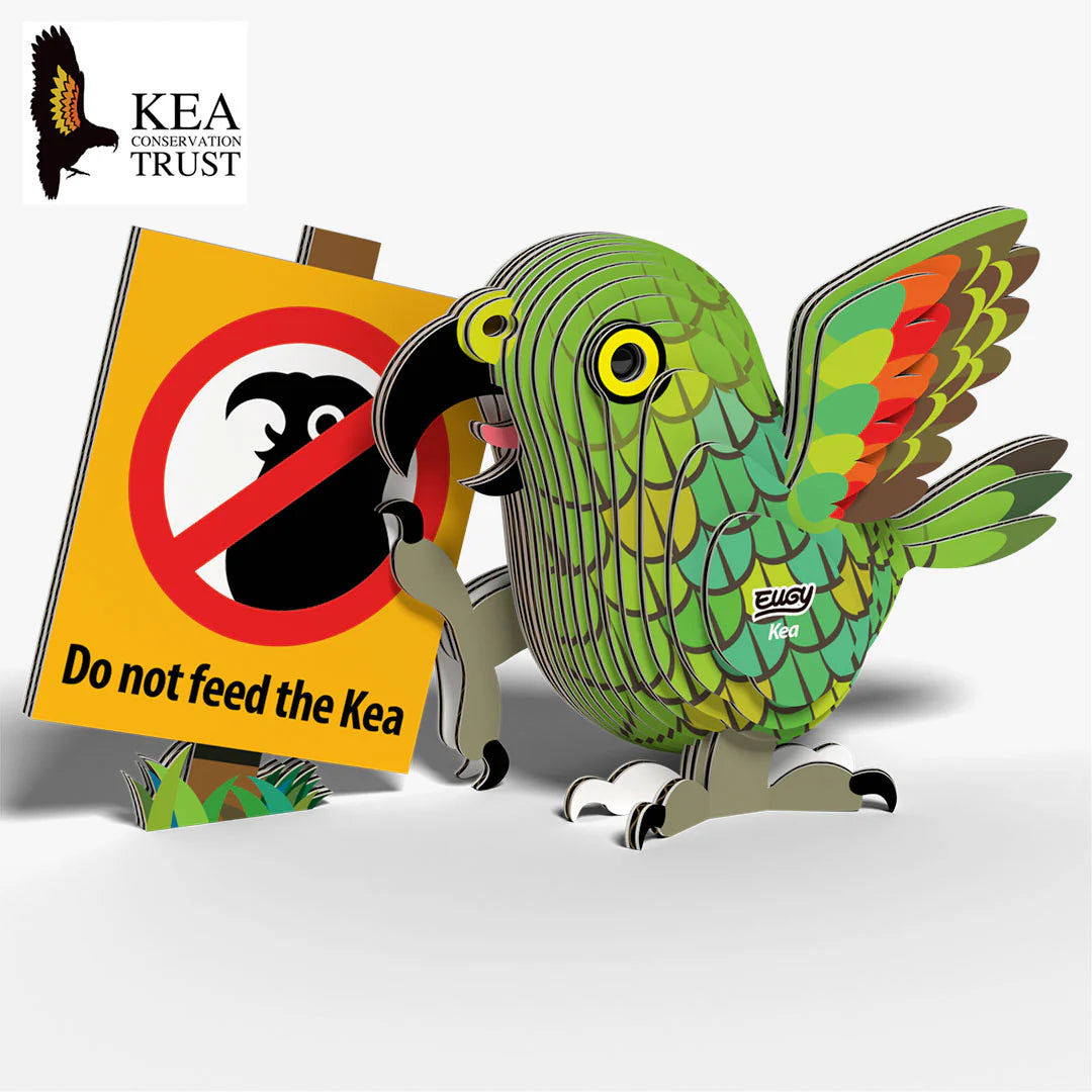 EUGY 3D-model - Kea