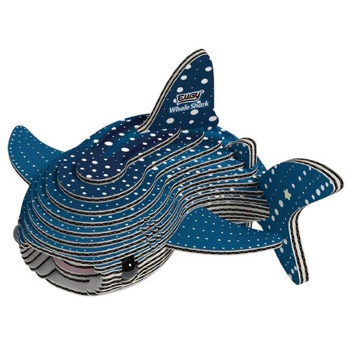 EUGY 3D model - Whale shark