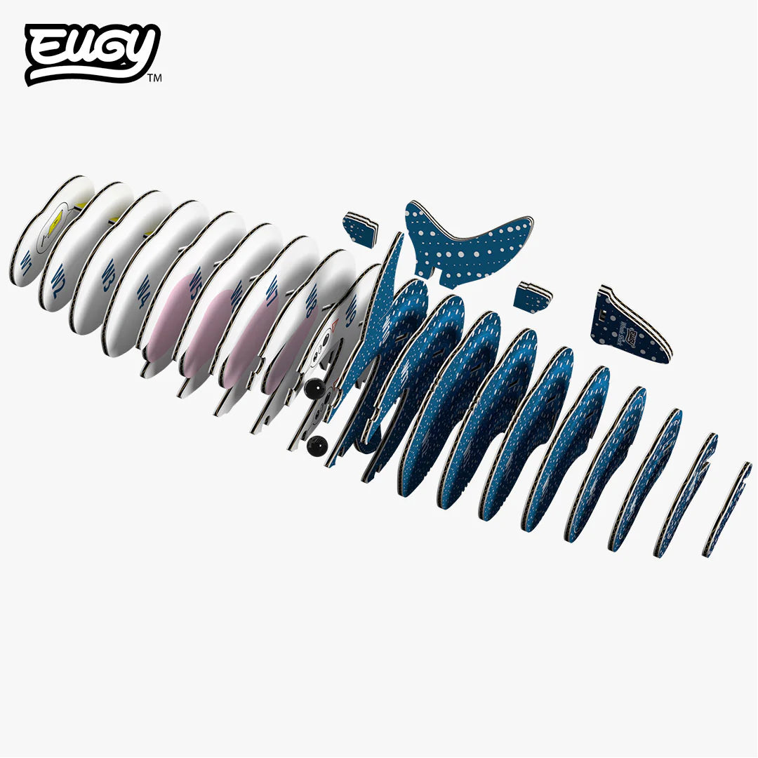 EUGY 3D model - Whale shark