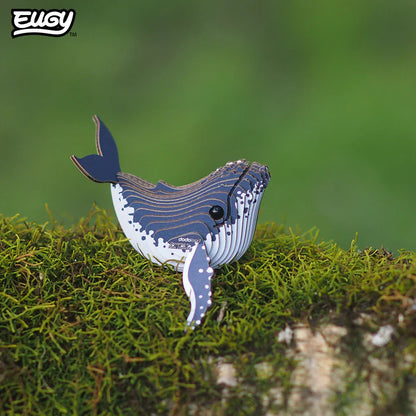 EUGY 3D-model - Bultrug Walvis