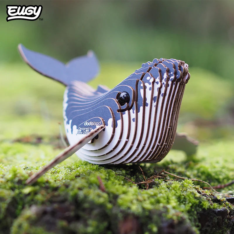 EUGY 3D-model - Bultrug Walvis