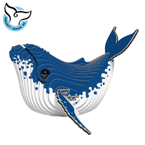 EUGY 3D-model - Bultrug Walvis