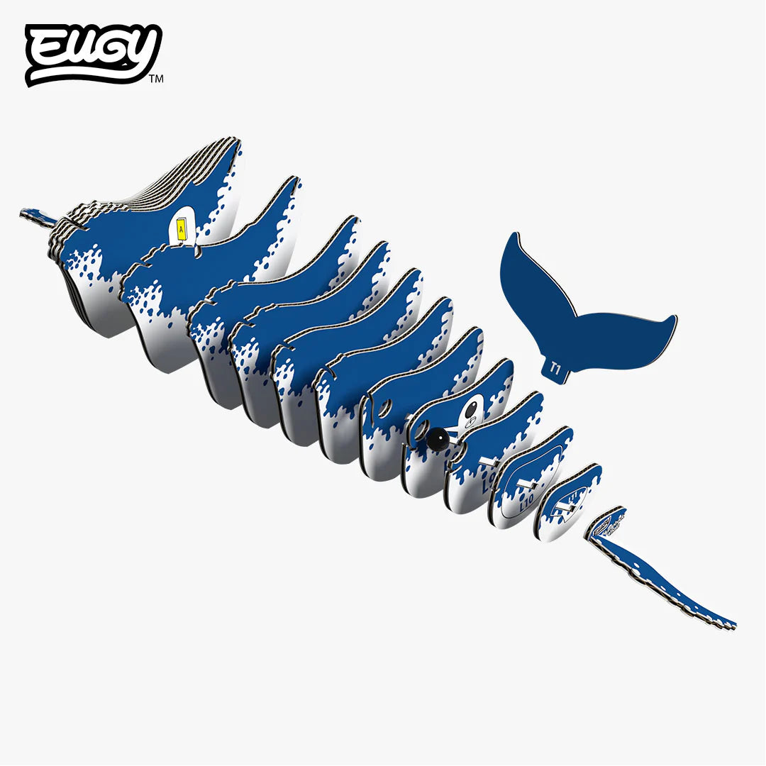 EUGY 3D-model - Bultrug Walvis