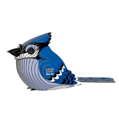 EUGY 3D model - Blue Jay