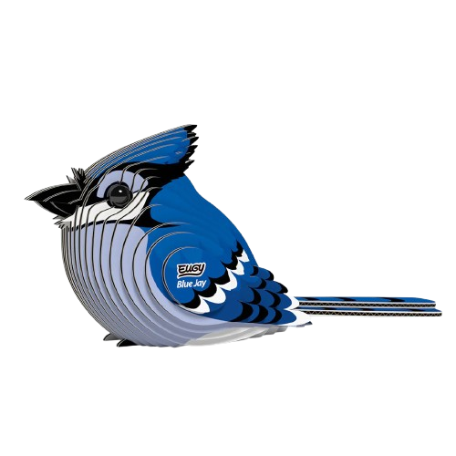 EUGY 3D-model - Blauwe Gaai