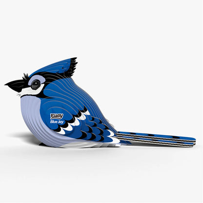 EUGY 3D model - Blue Jay