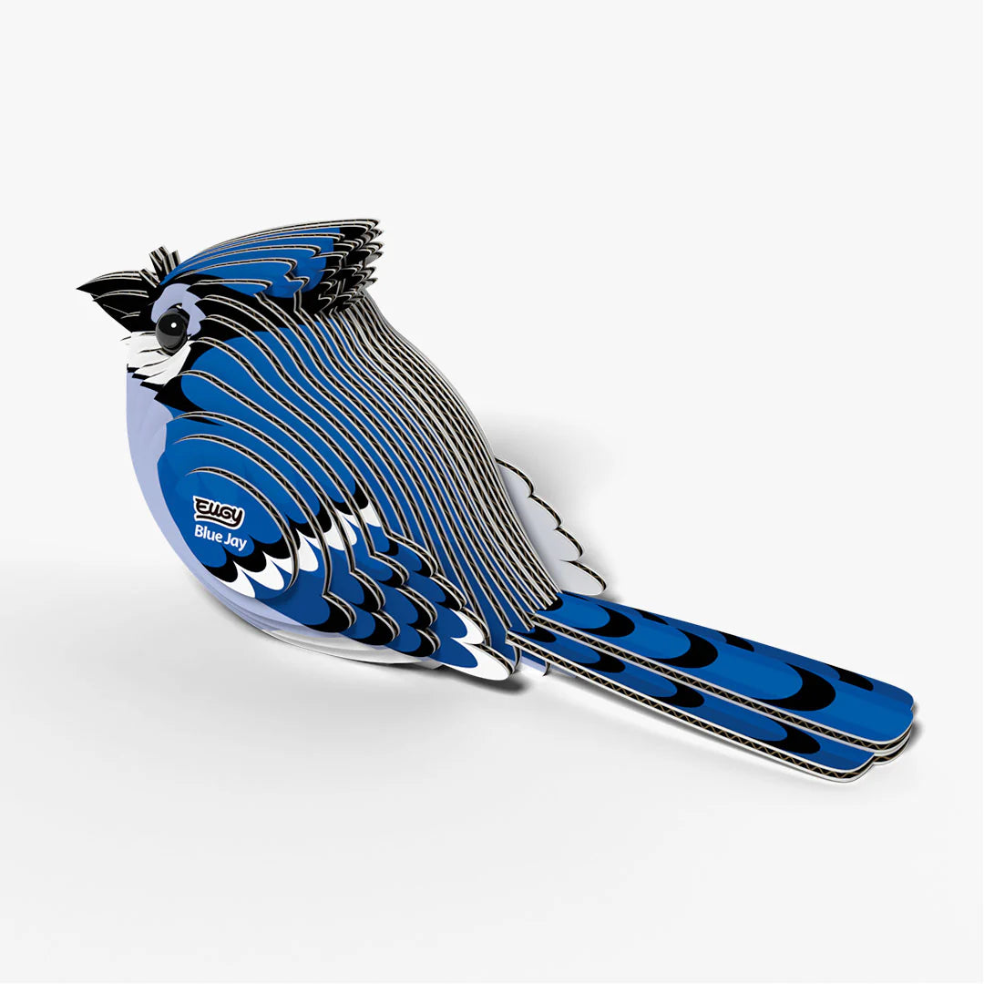 EUGY 3D model - Blue Jay