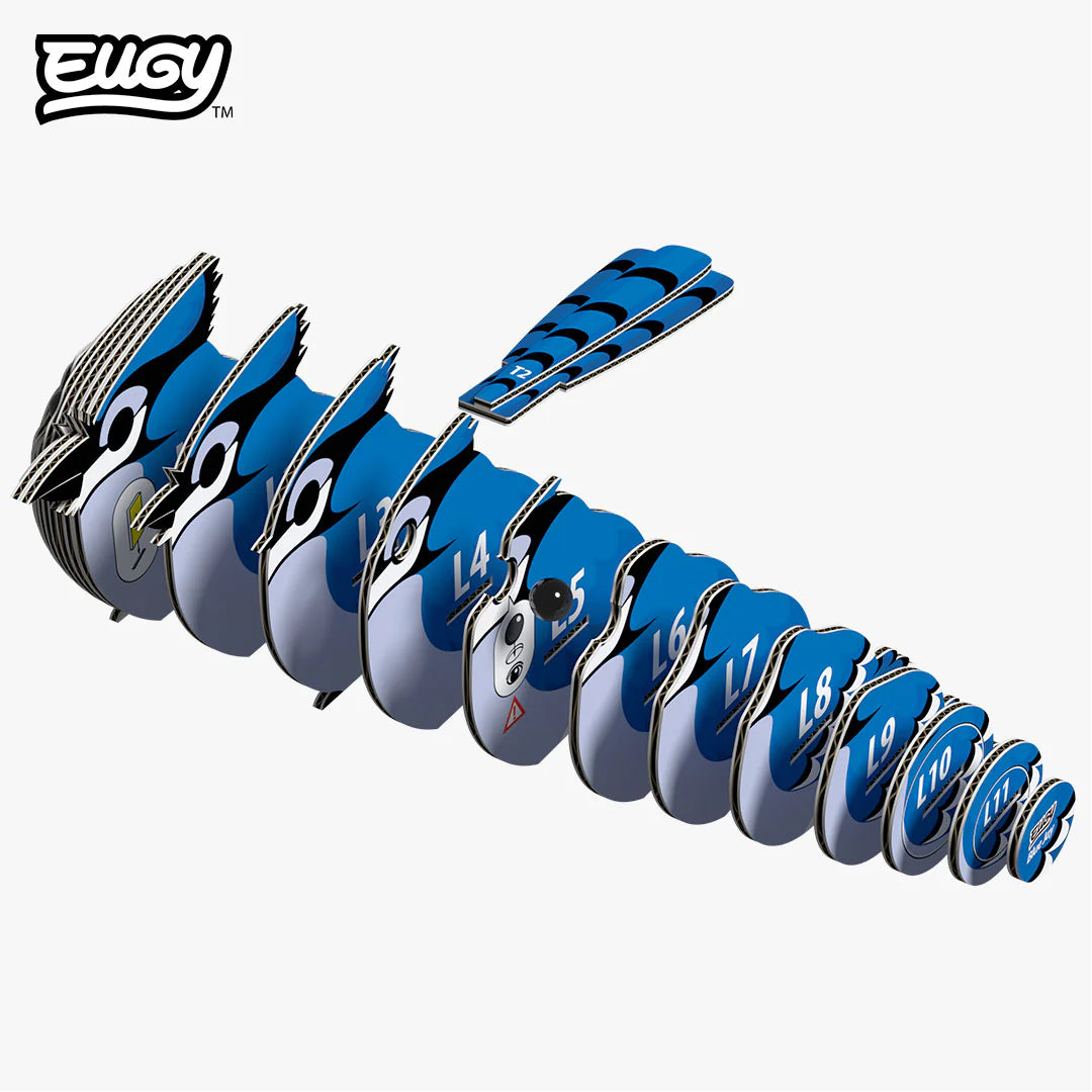 EUGY 3D model - Blue Jay