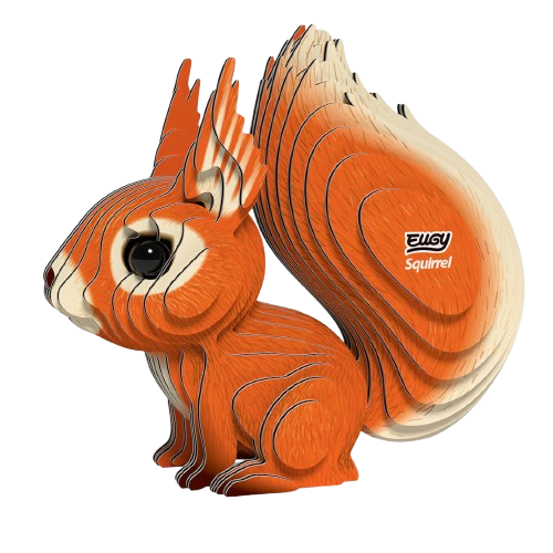 EUGY 3D-model - Eekhoorn