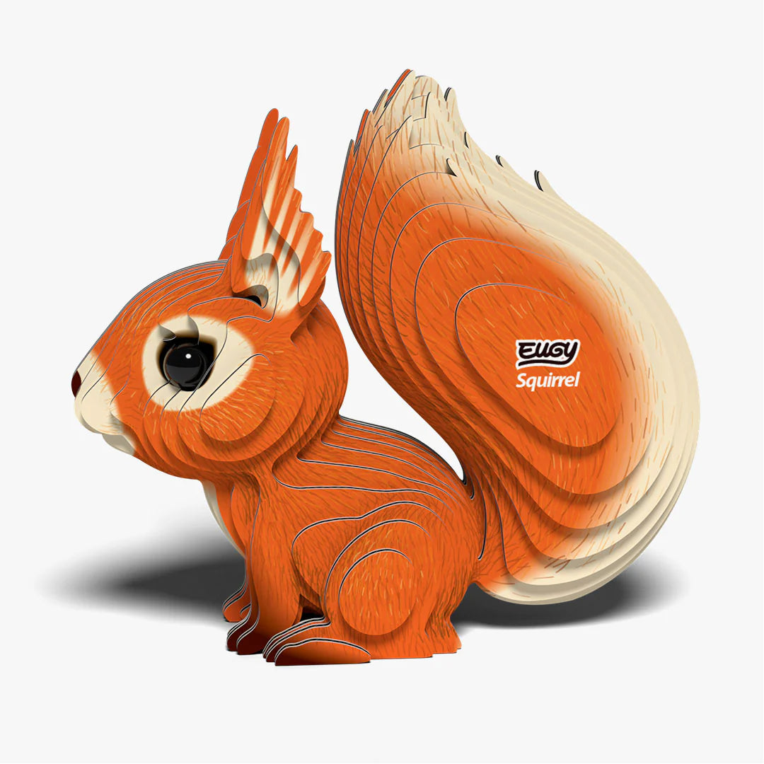 EUGY 3D-model - Eekhoorn