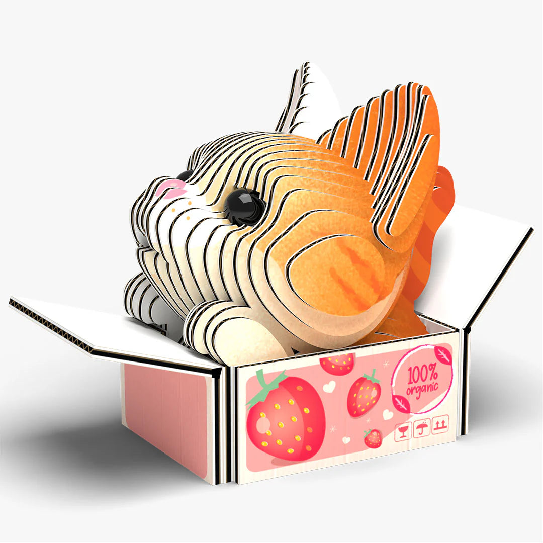 EUGY 3D-model - Katten - Pumpkin