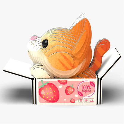 EUGY 3D-model - Katten - Pumpkin