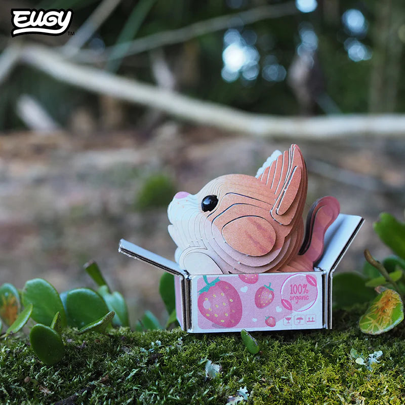 EUGY 3D-model - Katten - Pumpkin