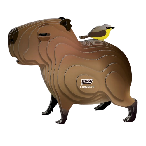 EUGY 3D-model - Capibara