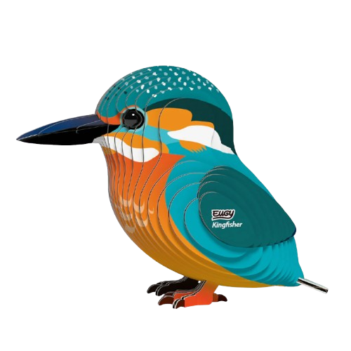EUGY 3D-model - IJsvogel