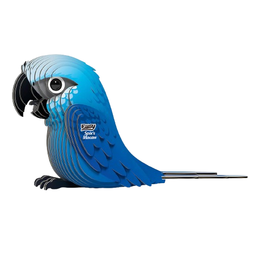 EUGY 3D model - Spix's Macaw