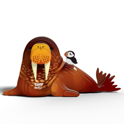 EUGY 3D-model - Walrus