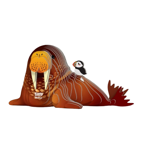EUGY 3D-model - Walrus