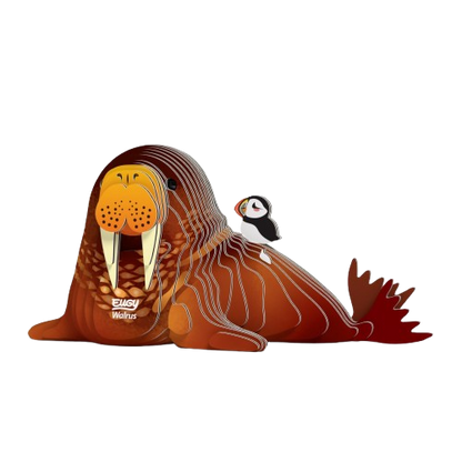 EUGY 3D-model - Walrus
