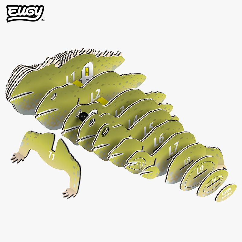 EUGY 3D-model - Tuatara