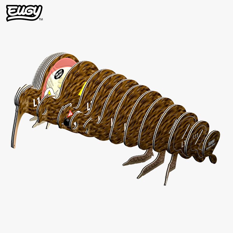 EUGY 3D-model - Kiwi