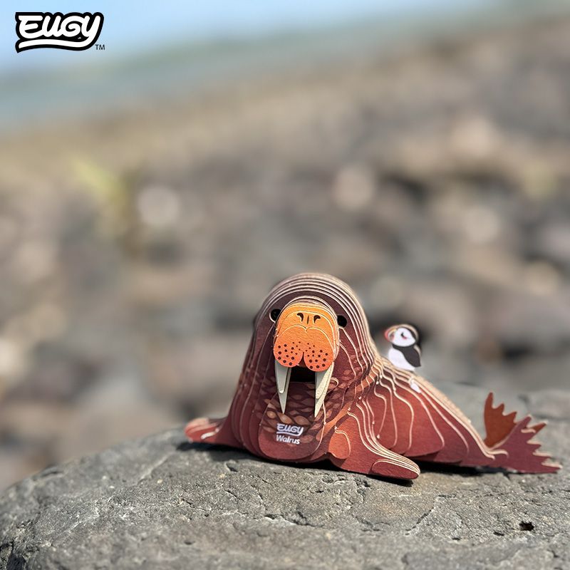 EUGY 3D-model - Walrus