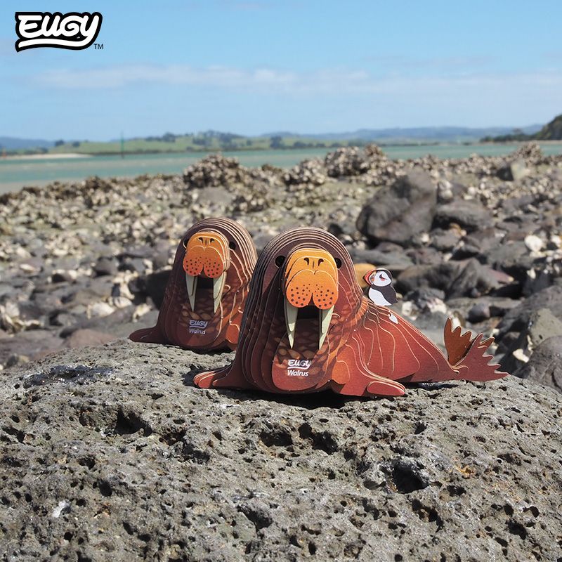 EUGY 3D-model - Walrus