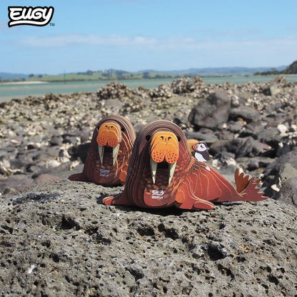 EUGY 3D-model - Walrus