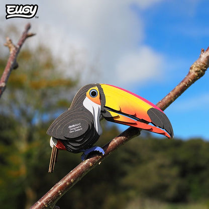EUGY 3D-model - Toekan