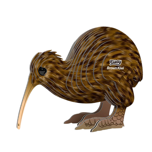 EUGY 3D-model - Kiwi