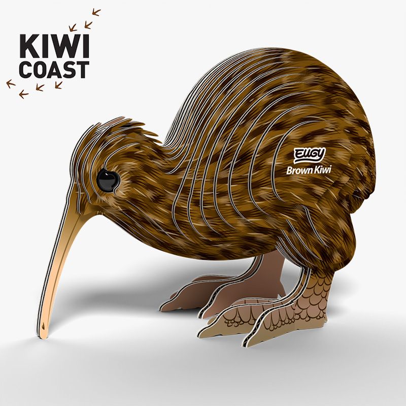 EUGY 3D-model - Kiwi