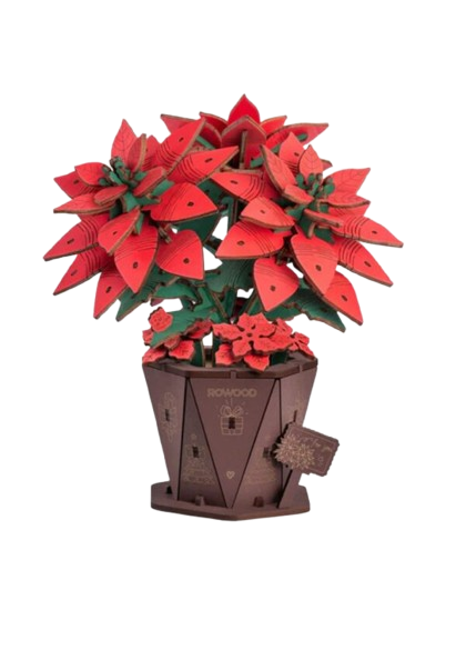 DIY Houten Kerstster - Poinsettia