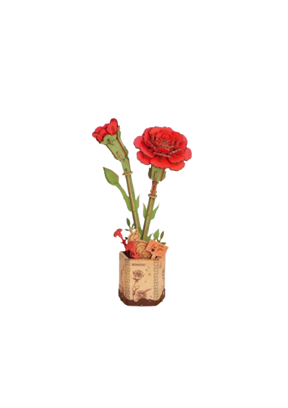 DIY Houten Bloem, Rode Anjer